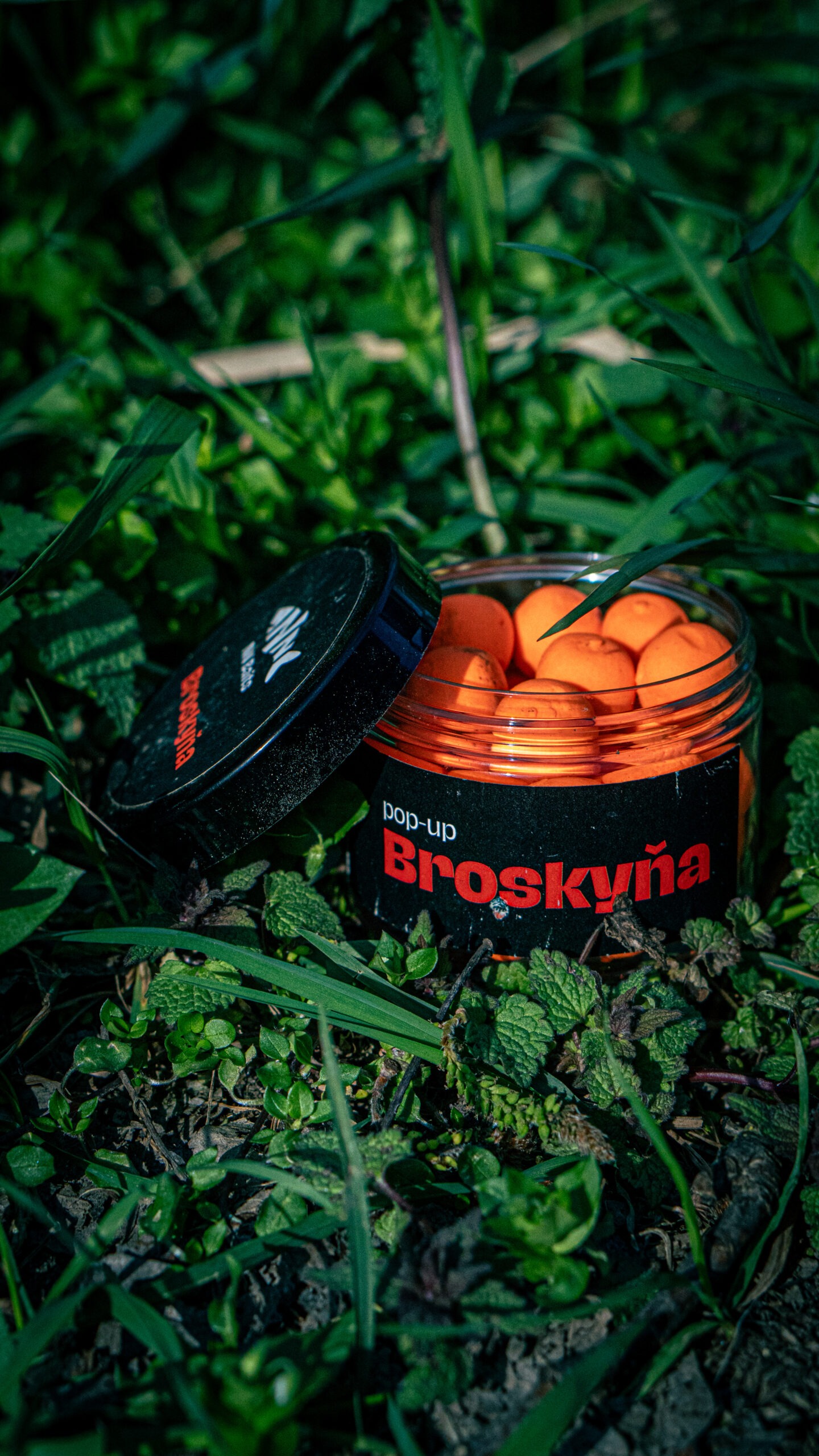 Broskyňa Pop-up – Obrázok 8