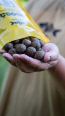 HNV boilies Lososáč (Losos / Korenie)