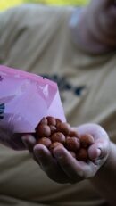 Activ Pulse boilies ŠeryBerry (Višňa/Jahoda)