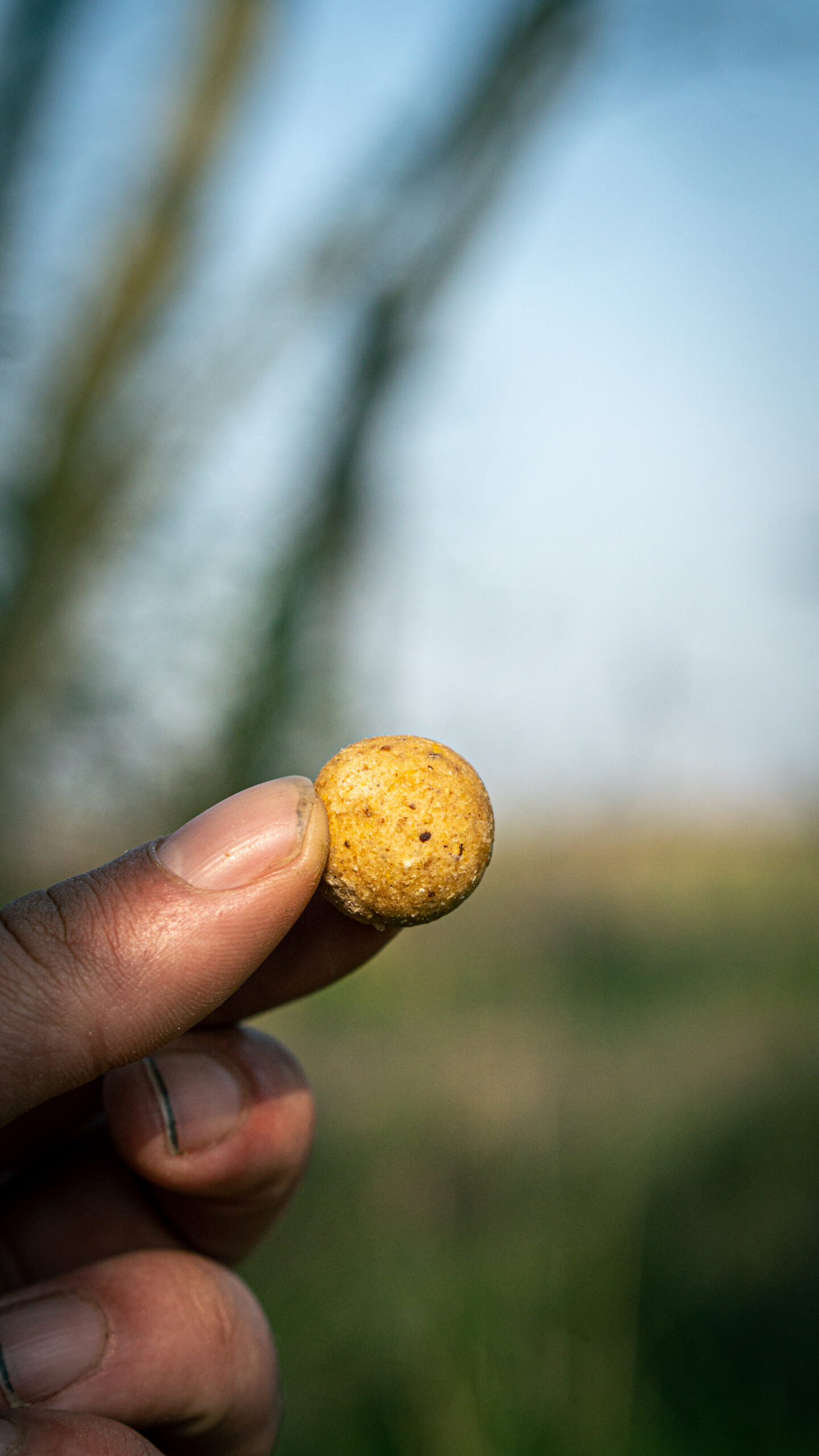 Rozpustné boilies Bryndza HNV (Zemiak / Slanina / Butyric) – Obrázok 7