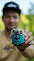 Dipované boilies Panča (Ančovička/Patentka) Activ Pulse