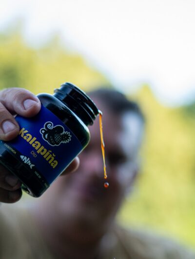 Dip Kalapíňa (Ananás/Chobotnica) Activ Pulse