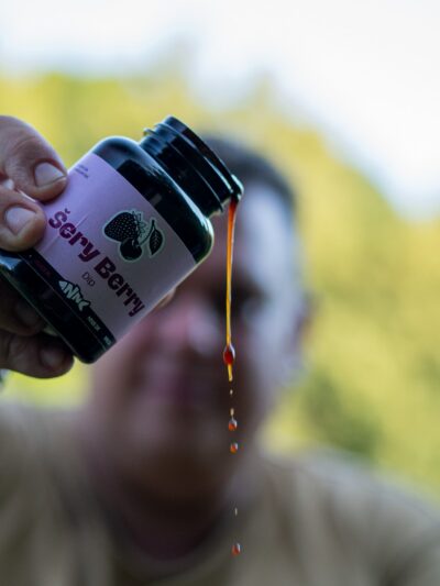 Dip ŠeryBerry (Višňa/Jahoda) Activ Pulse